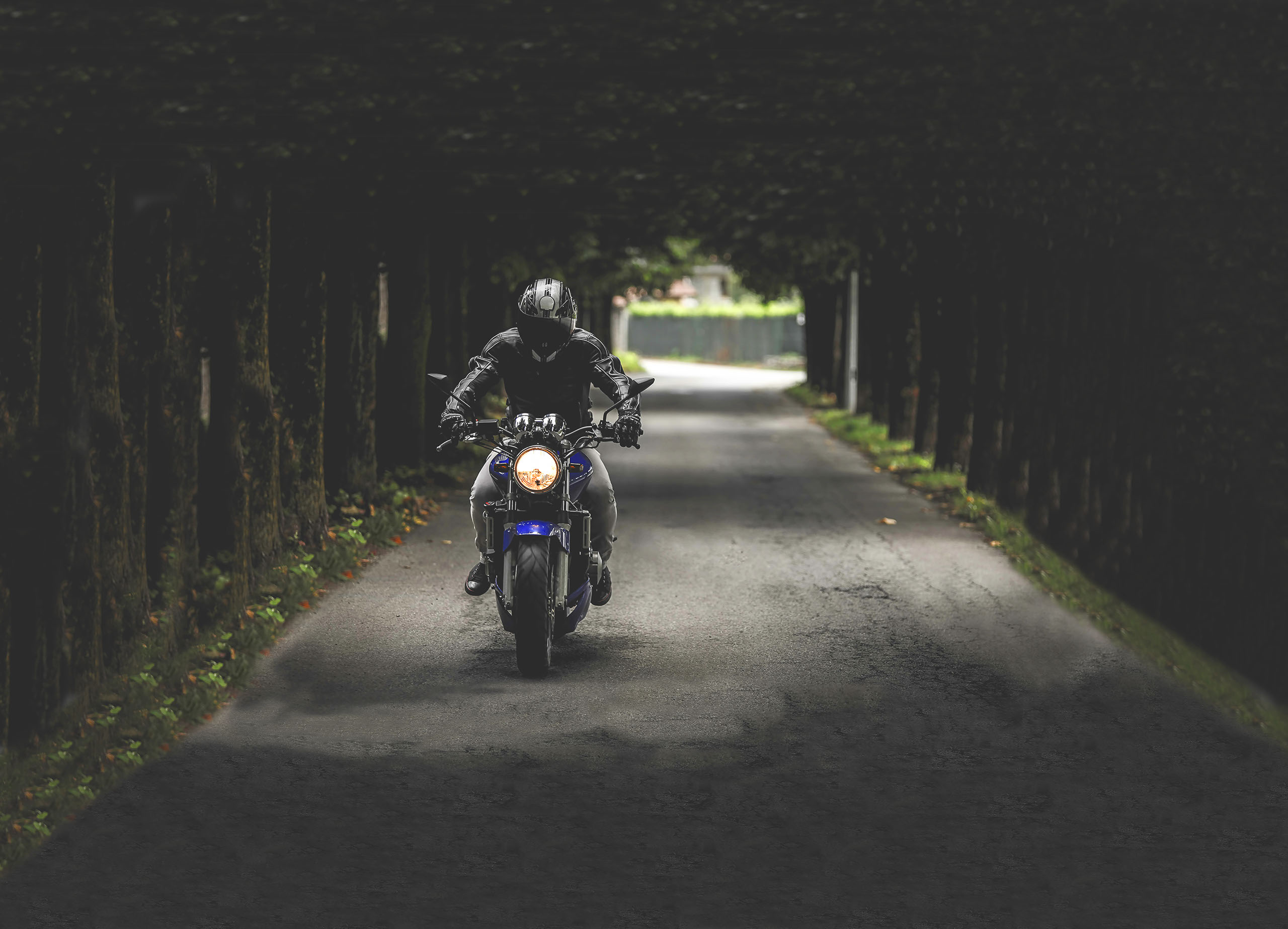 vehicle tags & registration